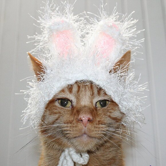 Hand Crafted Other - HAND CRAFTED Hat Crochet Easter Bunny Ears Cat Costume Photo Prop White